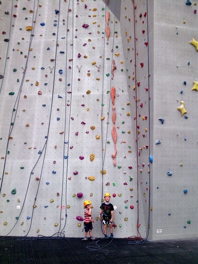 Mur d'escalade massif 